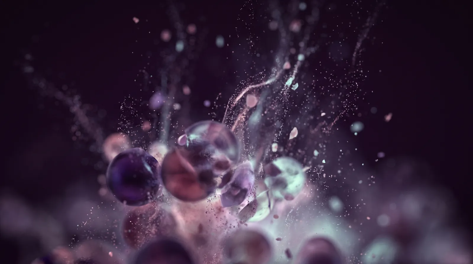 Luminous orbs bursting upward like kernels of light in lavender, rose and aqua against deep darkness.