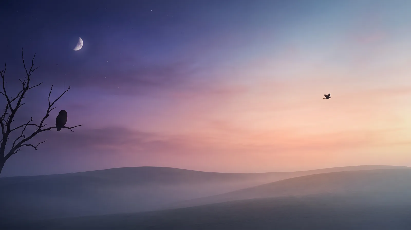 A sky shifting from deep aubergine night with a crescent moon and an owl silhouette into a soft rose and aqua dawn over calm hills.