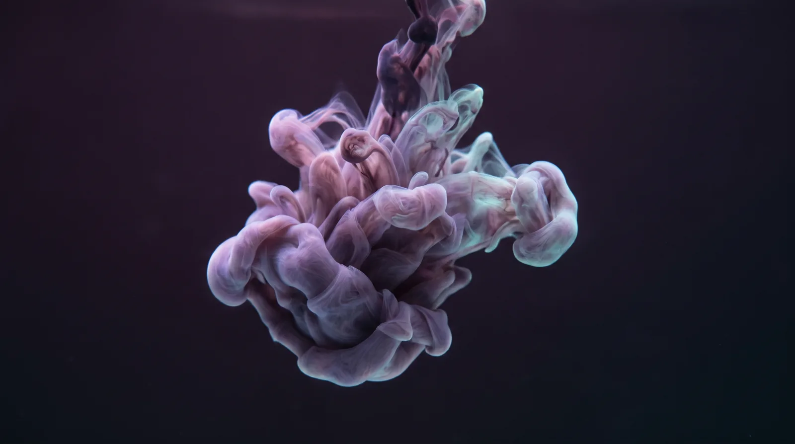 A dark ink plume blooming underwater into lavender, rose, and aqua tendrils against a deep aubergine background, softly glowing like slow smoke.