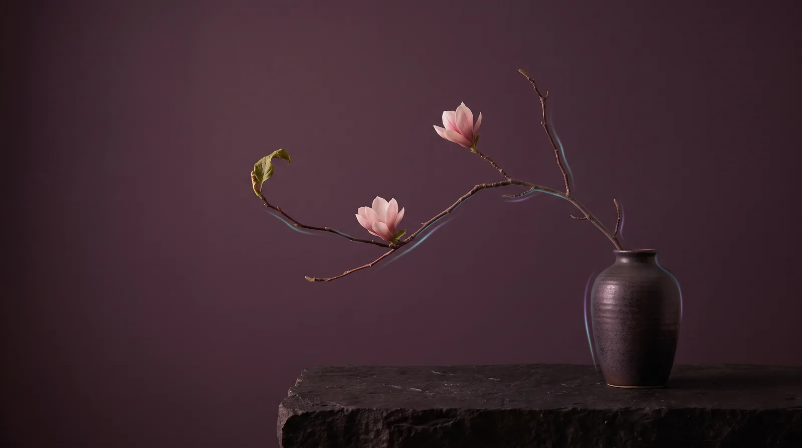 A minimalist ikebana arrangement: one curved branch with rose-toned blossoms in a dark ceramic vase, traced by lavender and aqua light.