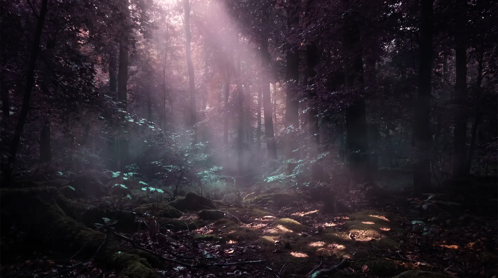 Soft shafts of lavender and rose light filtering through a dark forest canopy onto shadowed ground, with aqua glints on wet leaves in a deep aubergine gloom.