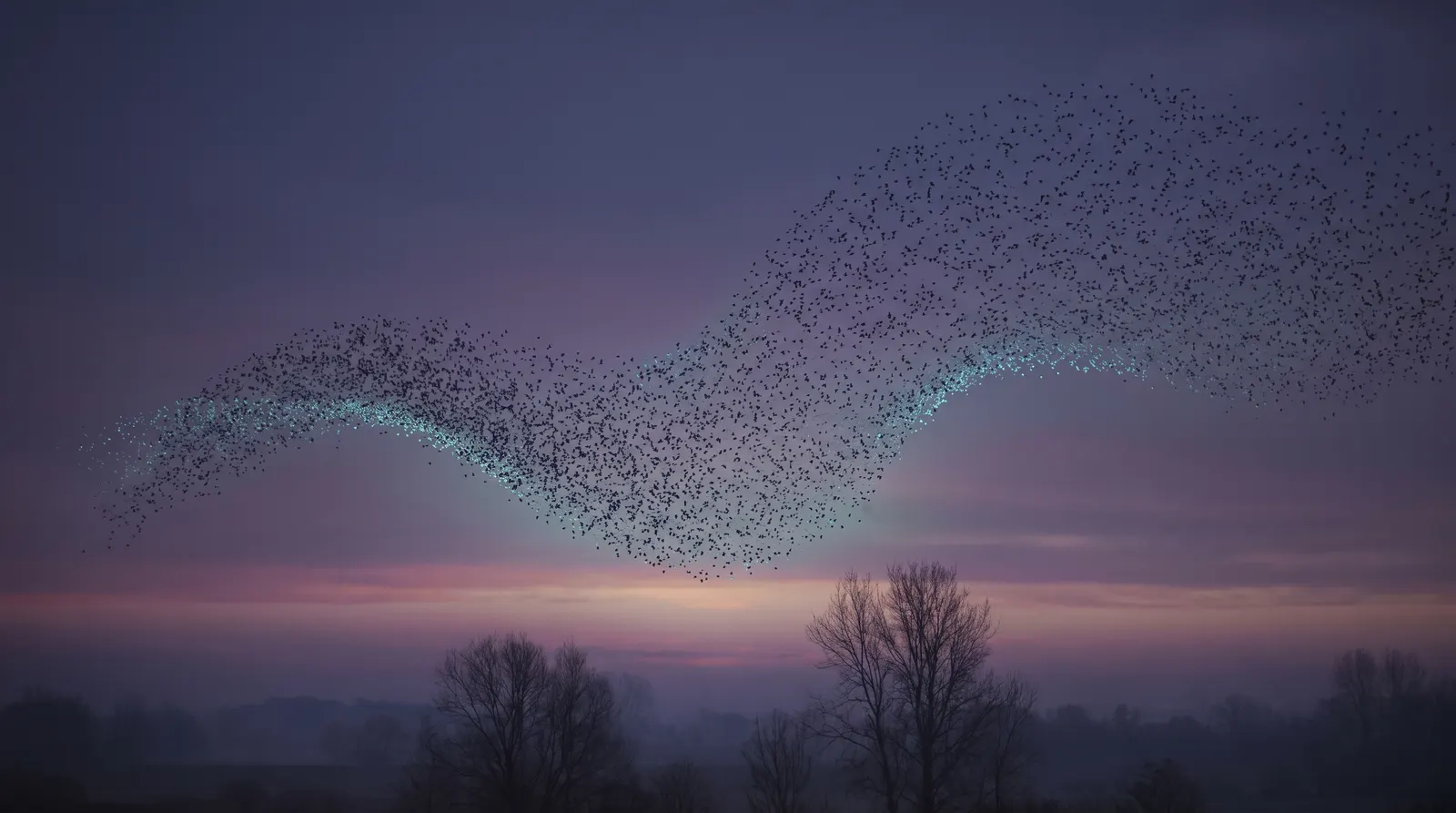 A vast starling murmuration curling in one fluid ribbon across a deep aubergine dusk, lavender and rose light along the horizon and aqua shimmer at the flock's edge.