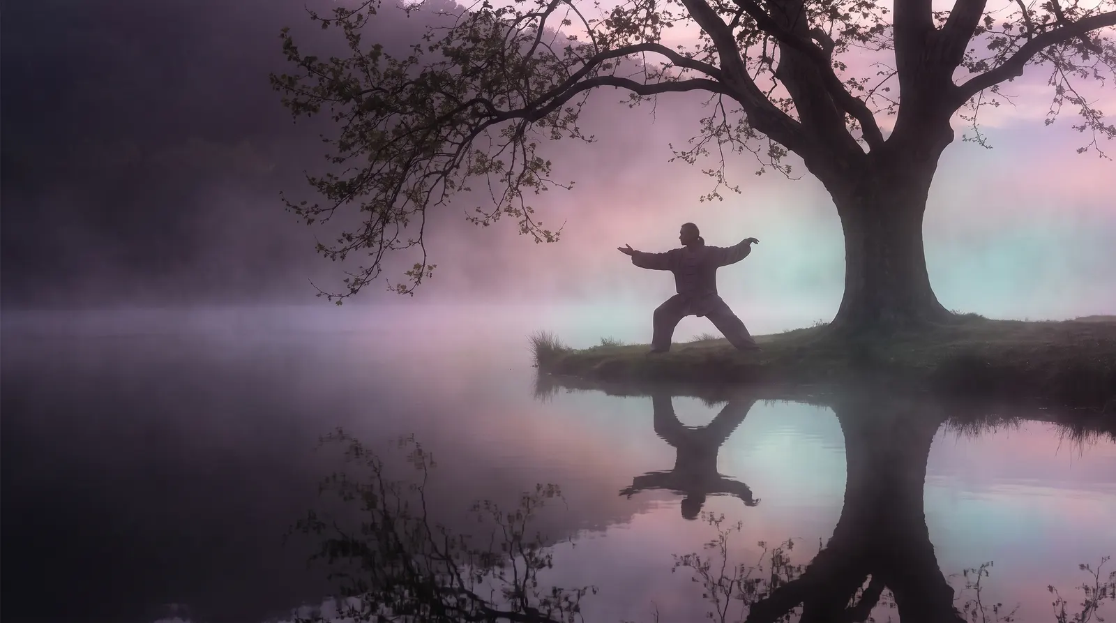 A silhouetted figure practicing slow flowing movement in misty dawn light.